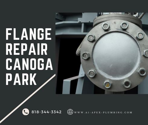Toilet flange repair cost in Canoga Park