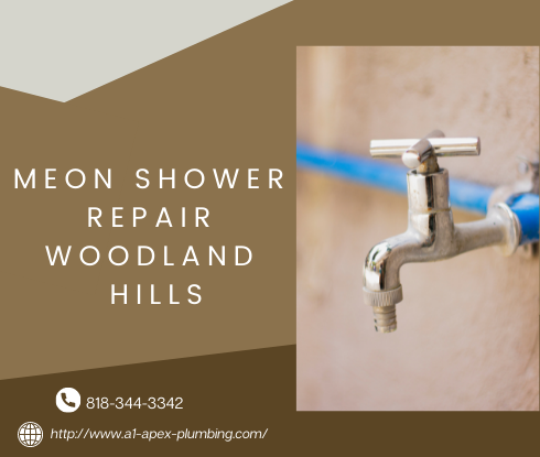 Moen shower handle removal in Woodland Hills